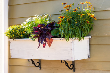 Hanging white flower box with colorful plants on exterior wall of house. Beautiful outside home decor with variety of fresh blooming flowers during autumn/fall season in Canada, British Columbia.