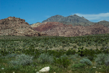 Red Rock Canyon Landscape
