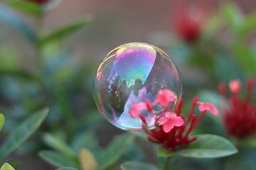 bubbles in the garden