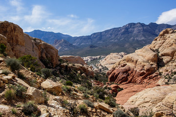 Red Rock Canyon Landscape