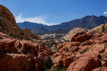 Red Rock Canyon Landscape