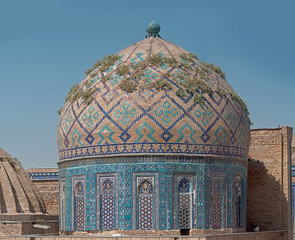 Grass on the dome