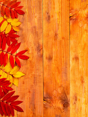 The autumn border made of leaves on wooden background