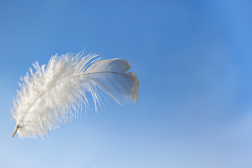solf single white feather floating in the air. © Siwakorn1933