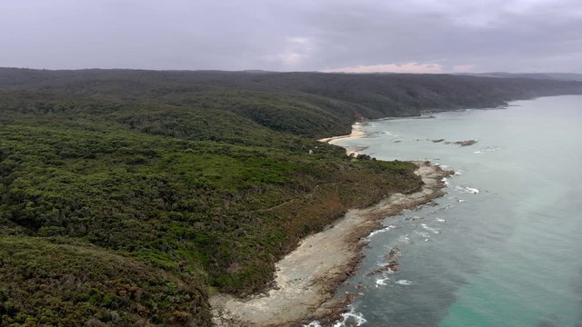 Forest at the Coast line of Australia (Great Ocean Road, Victoria)
