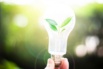 Trees grow in bulbs. Creativity on Earth Day or Energy Saving and Environmental Concepts