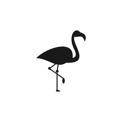 Flamingo logo design Vector Image, template, animal