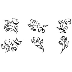 Rose outline set. Isolated drawing. Vintage sketch. Nature vector illustration. Vector illustration art. Contour sketch. Contour symbol. Vintage floral pattern. Flower background
