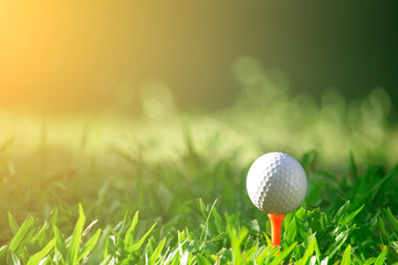 golf ball on tee in a beautiful golf course with morning sunshine
