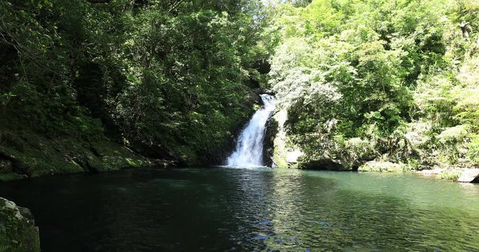 Materiya waterfall in the green forest in Amami oshima Kagoshima sunny day wide shot