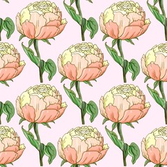 peonies. plant growing and gardening. seamless background
