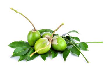 Spondias dulcis on white background