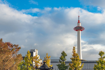 Obraz premium 京都の秋景色 京都タワー