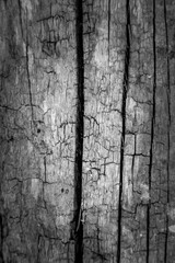 Pattern cracked old wooden background.