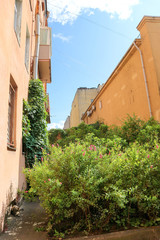 Green cosy yard in downtown of Saint Petersburg, Russia