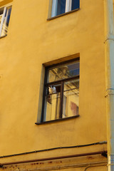 Fototapeta na wymiar curious cat in window in an old house