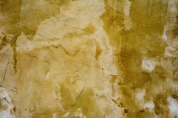 Texture of a concrete wall with cracks and scratches which can be used as a background