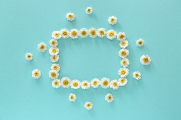 Frame made of chamomile flowers on color background