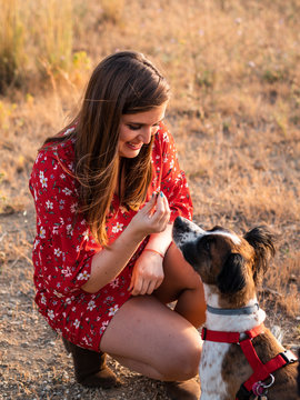 From above young woman with long hair playing and giving affection to cute dog