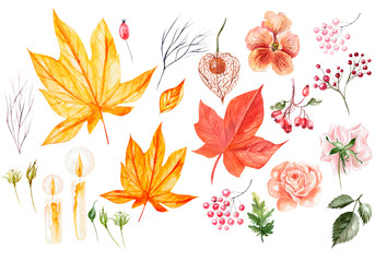 Fototapeta na wymiar Watercolor autumn Set with leaves, flowers and roses.