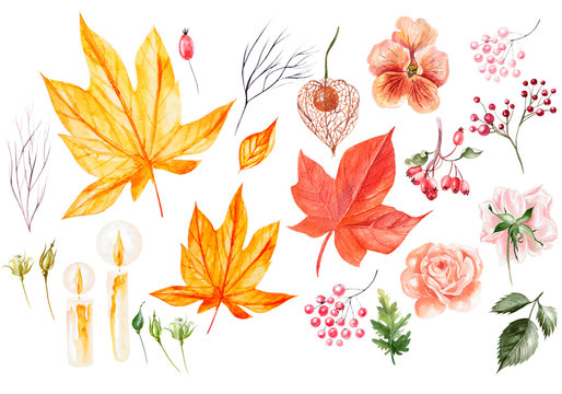 Watercolor autumn Set with leaves, flowers and roses.