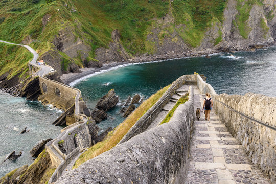 Back view of female traveler with dog walking on stony bridge through river in picturesque area