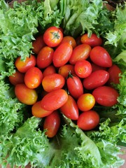 tomatoes, tomato, cherry, small, background, red, green, fresh, food, healthy, vegetable, vegetarian, organic, top, ripe, view, group, closeup, raw, white, plant, nature, agriculture, natural, shiny, 
