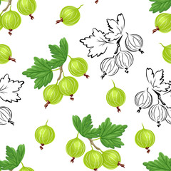 Gooseberry seamless pattern on white background. Vector illustration of сolor and black and white berries. Vector outline and silhouette contour image.