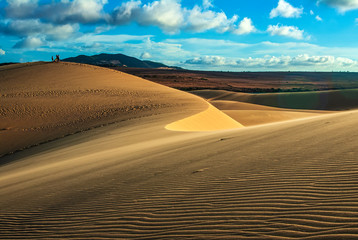 Fototapeta na wymiar Golden sand dunes in the sunset