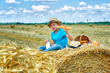 A boy on a picnic in the field on a summer day . Children's outdoor recreation