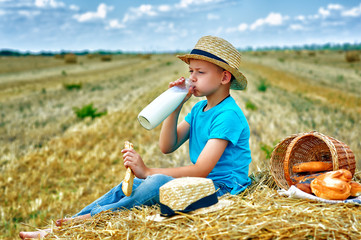 Naklejka na ściany i meble A boy on a picnic in the field on a summer day . Children's outdoor recreation