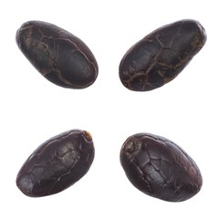 set of cacao beans isolated on white background
