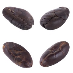 set of cacao beans isolated on white