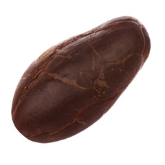 dried cacao bean isolated on white background