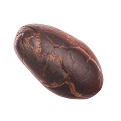 dried cacao bean isolated on white background