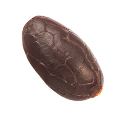 dried cacao bean isolated on white background