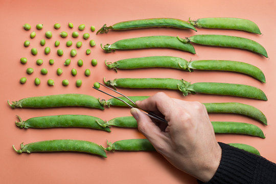 hand making a Flat lay of the USA flag made with peas and pea pods on salmon background