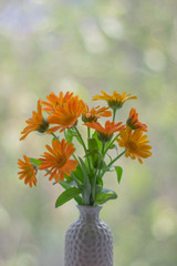 Flowers in a vase on bokeh background with sunlight pattern. Postcard concept