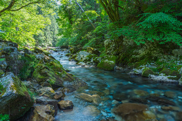 川・渓流