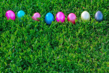 Multicolored eggs lying on green grass. Easter