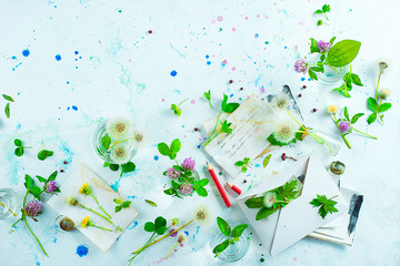 Clover and dandelion header with notes, paper and envelopes. Summer homework concept. Pastel flat lay with cpy space