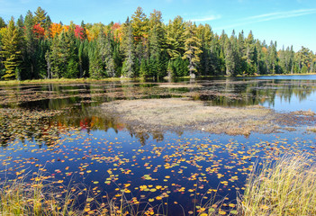 Indian summer at a lake in Algonquin Provincial Park near Toronto in autumn, Canada