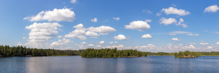 panorama of a forest lake