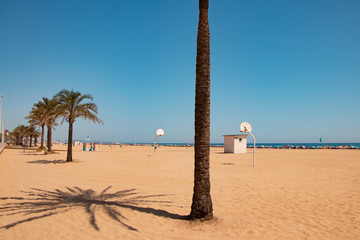 beach with palms and chairs