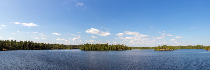 forest lake in summer