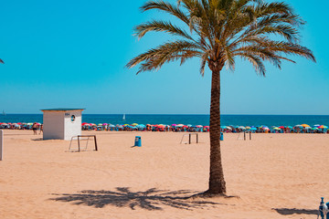 beach with chairs and umbrellas