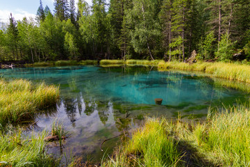 Fototapeta na wymiar The green thermal lake near Aktash, Altai mountains. Summer time. The pacifying landscape among the wood.