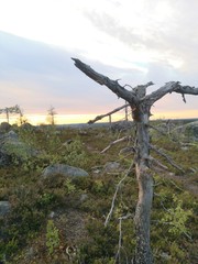 wind turbines on the hill