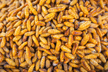 Fried silkworm pupa food in Thailand, High protein foods.