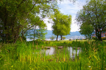 Crab Park